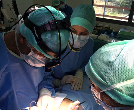 Anissa Belkhou, MD, new referral surgeon in Lille